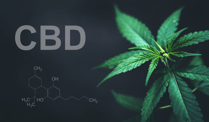 about-cbd